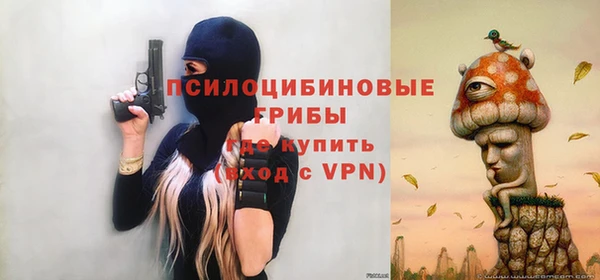 гашик Аркадак