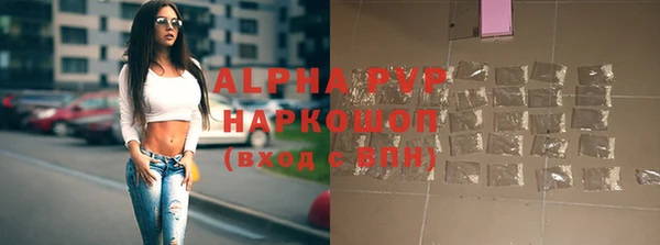 гашик Аркадак
