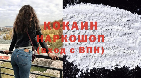 гашик Аркадак